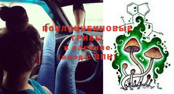 крисы Алексин