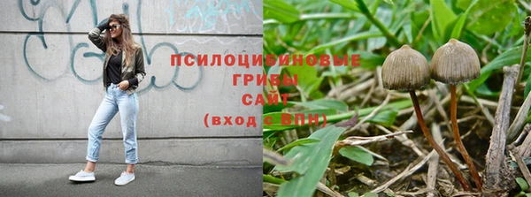 крисы Алексин