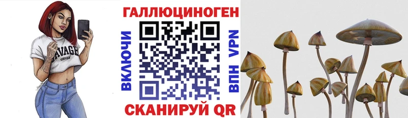 Псилоцибиновые грибы ЛСД  mega зеркало  Сурск  даркнет сайт 